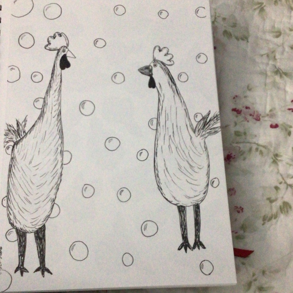 New chicken ink drawing 7x10
